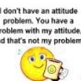 Do You Have Attitude